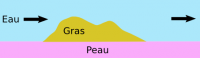 /album/a1/peau-png/